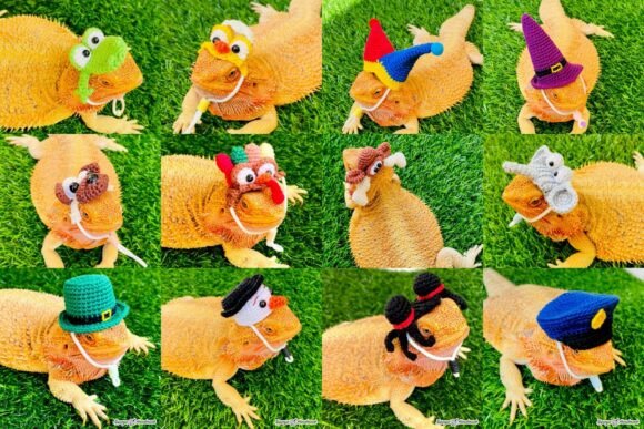 12 Adorable Crochet Headbands for Your Bearded Dragon