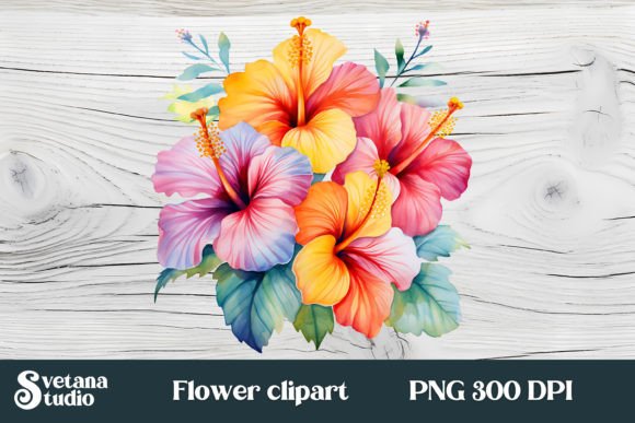 Unlocking the Versatility of Hibiscus Flower Clipart PNG